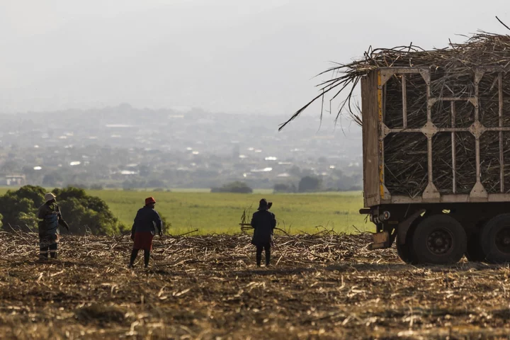 Climate Costs Mount for Poorer Nations Already Burdened by Debt