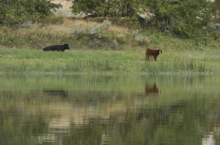 Biden proposal would let conservationists lease public land much as drillers and ranchers do