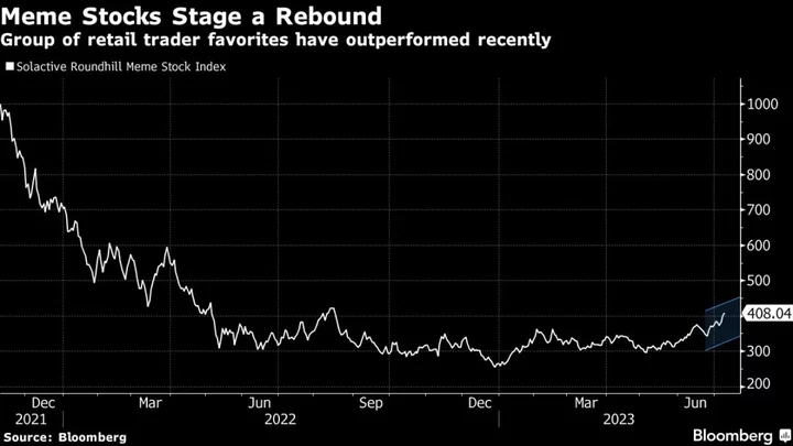 Meme Stocks Are Back, Raising a ‘Red Flag’ for the Broader Market