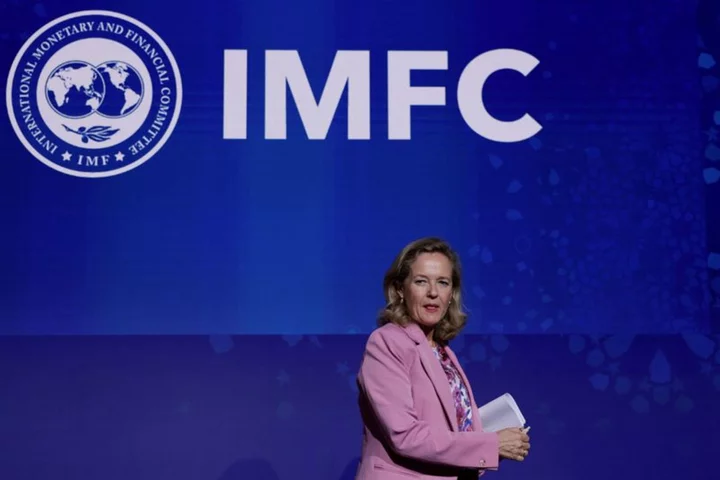 IMF steering committee calls for new funds, share plan by June 2025