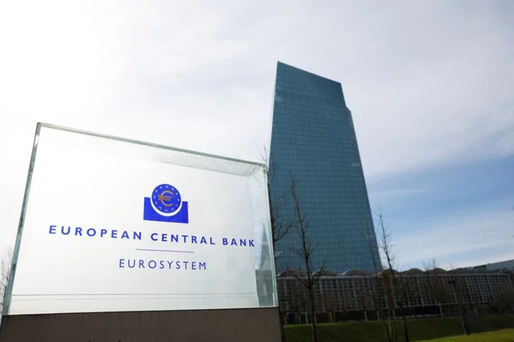 Investors expect ECB rate-hike pause in September after dismal PMIs