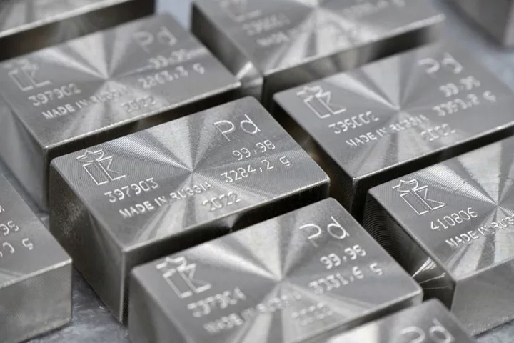 Global palladium market to swing to surplus in 2024 - Nornickel