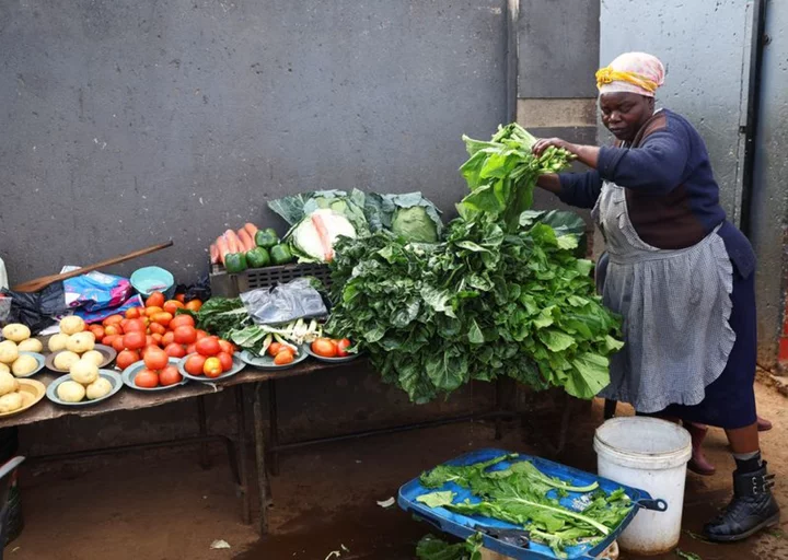 South Africa producer inflation slows to 2.7% y/y in July