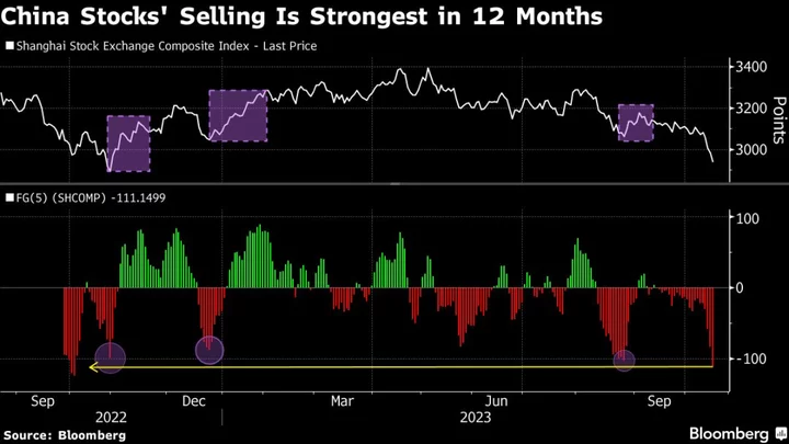 China’s Selloff Is Showing Signs of Panic as Investors Flee