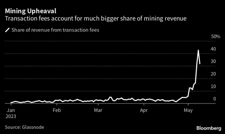 Memecoin Mania and NFTs Bring a ‘Seismic Shift’ for Bitcoin Mining