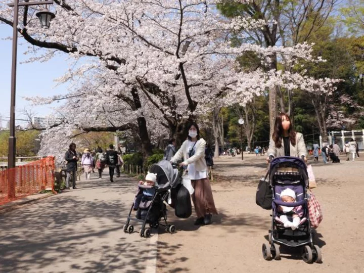 Japan's population fell by 800,000 last year as demographic crisis accelerates