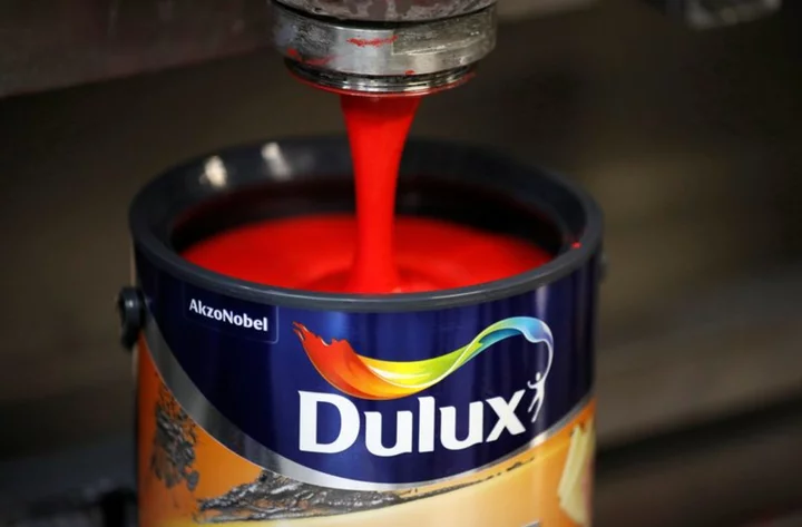 Dulux owner Akzo sees core earnings towards low end of forecasts