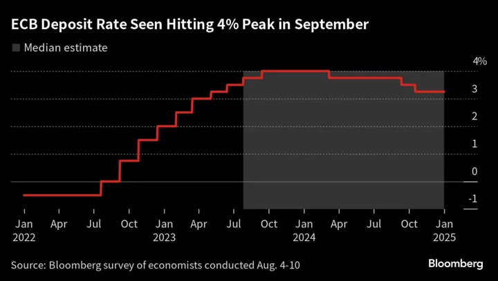 ECB Still Seen Delivering One Last Hike in September, Poll Shows