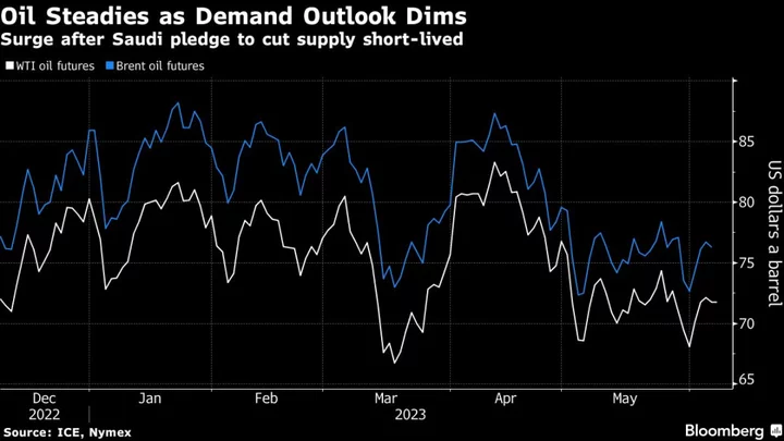 Oil Steadies as Concerns Over Demand Overshadow Saudi Output Cut