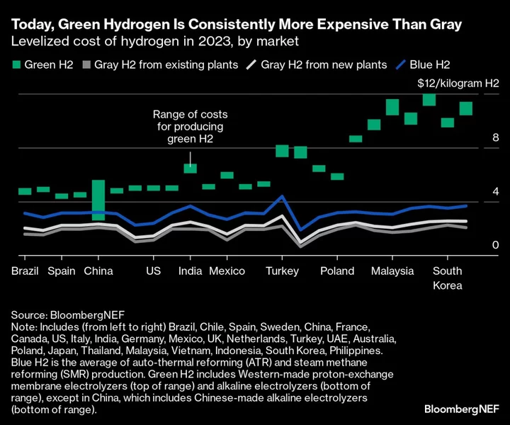 Hedge Fund Boss Calls Hydrogen Bets ‘Complete Waste of Time’