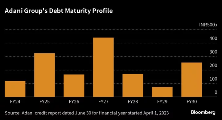 Adani Group Touts Improved Cash Reserves to Service Debts