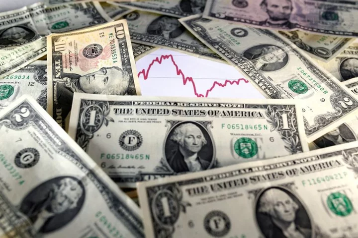 Dollar steady as investors ponder over global rates, economic outlook