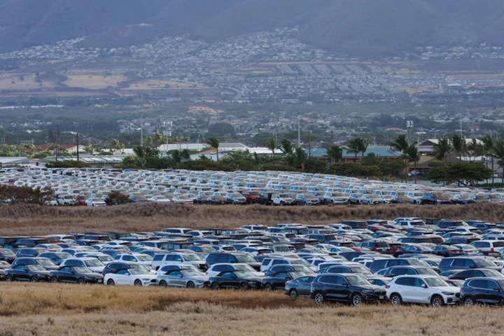 Moody's says economic loss from Hawaii wildfire could be as high as $6 billion