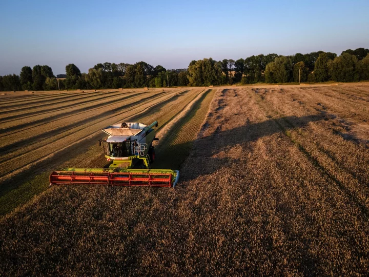 EU Mulls Subsidizing Transport for Ukraine’s Grain Export