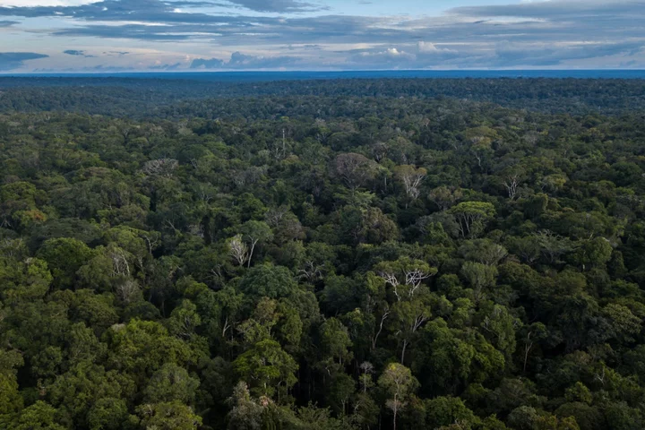 Plane Crash Kills 14 in Brazilian Amazon, AFP Reports