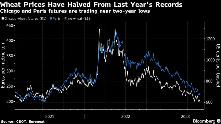 Lush Wheat Fields Across Europe Are Keeping Food Costs in Check