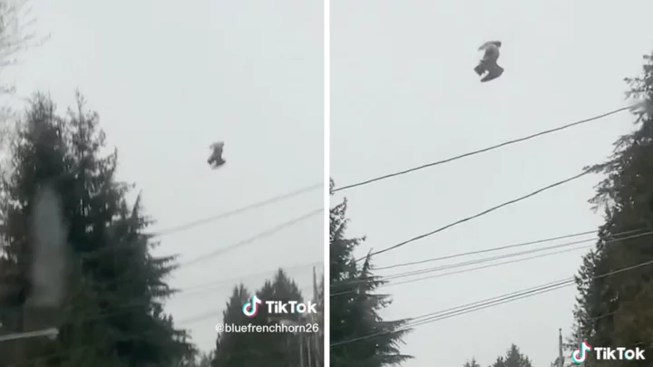 Footage of bird not moving in the sky called a 'glitch in Matrix'