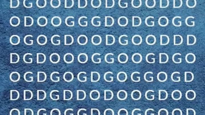 Can you find the word 'dog'? Only one percent of people can find it