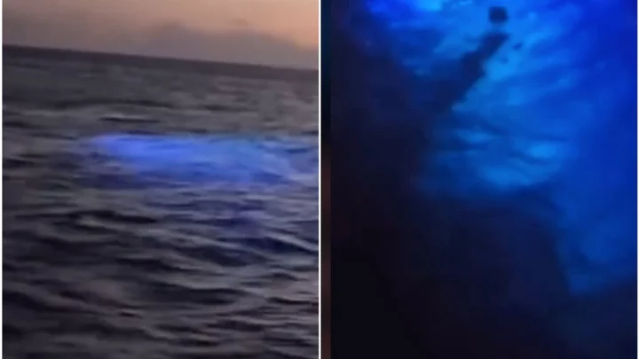 Fishermen capture eerie 'alien mermaid' footage in Puerto Rico