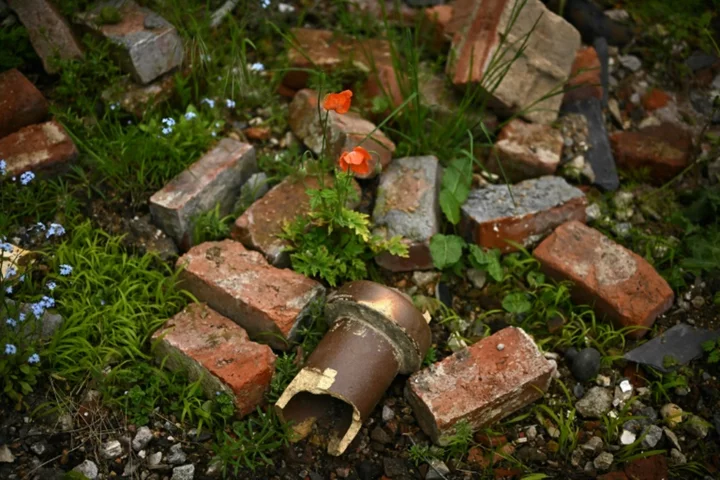 Weeds grow at London's Chelsea Flower Show