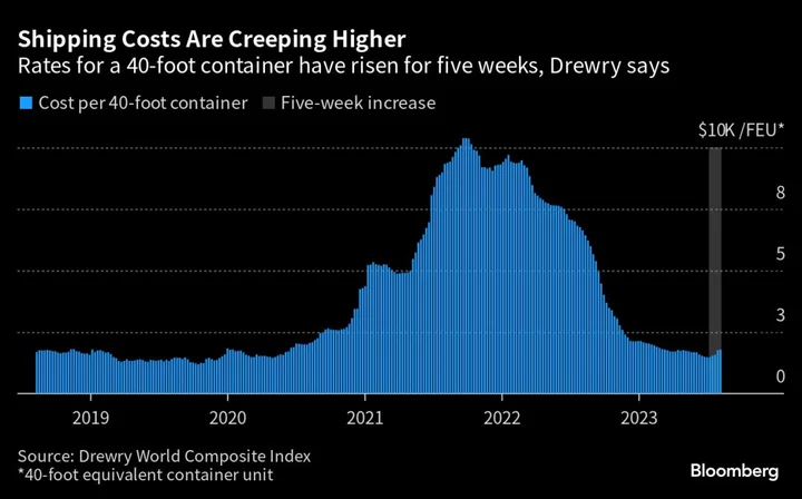 Shipping CEO Sees ‘Green Shoots,’ Says Container Rates Must Rise