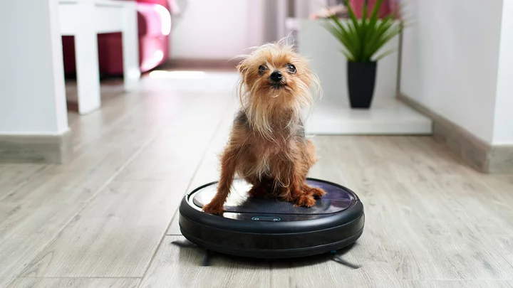 The Best Robot Vacuums for Pet Hair