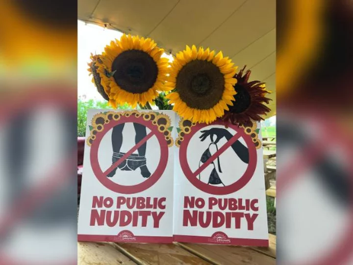 Visitors to sunflower fields urged to stop posing naked for photo shoots