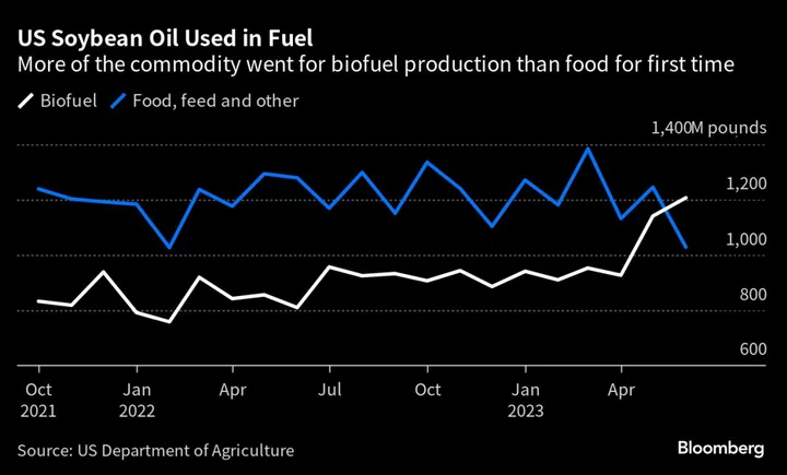 Shake Shack Tests Oil to Make Its Fries Healthier and Greener