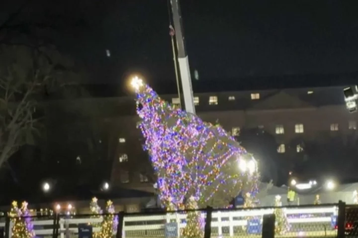 Biden gets a chance to bring holiday spirit to Washington by lighting the National Christmas Tree