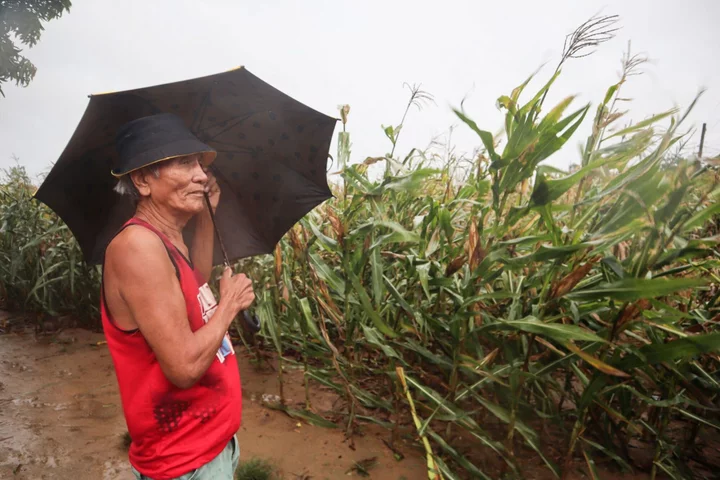 Super Typhoon Saola Brings Heavy Rain to North Philippines