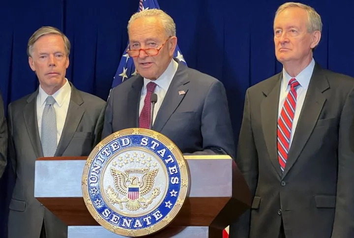 Senate leader Schumer says chamber will rush through military aid to Israel