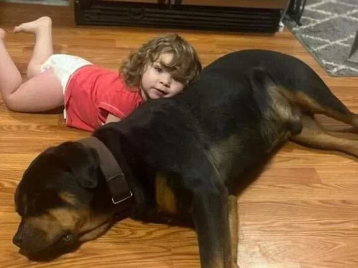 Missing toddler found sleeping in woods using her dog as a pillow after walking 3 miles barefoot