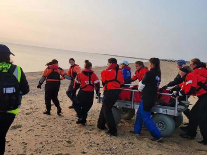 Experts rescue and release 2 dolphins in dangerously shallow waters off of Cape Cod