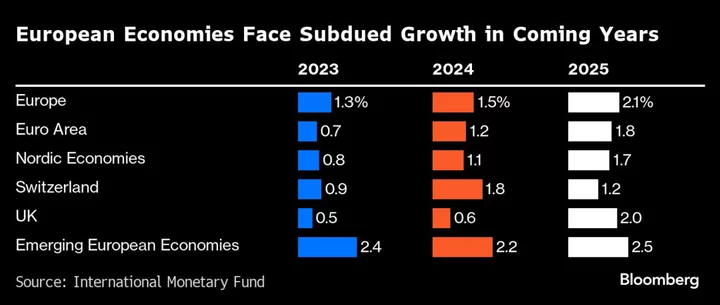 Premature ECB Rate Cuts Would Be Costly Mistake, IMF Warns