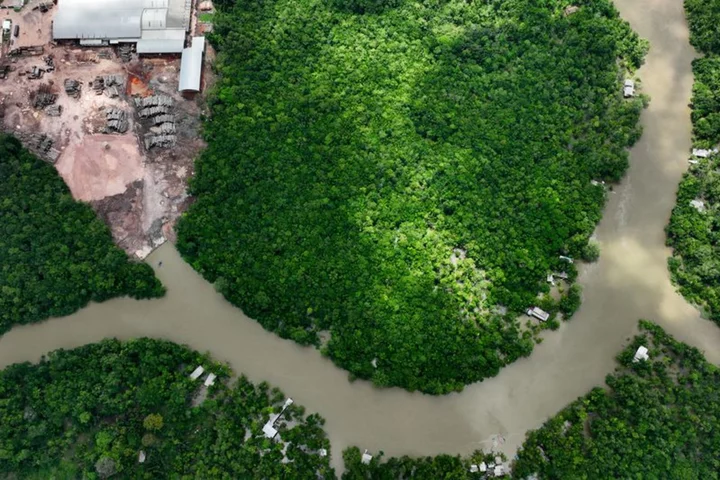 Amazon rainforest nations gather to forge shared policy in Brazil