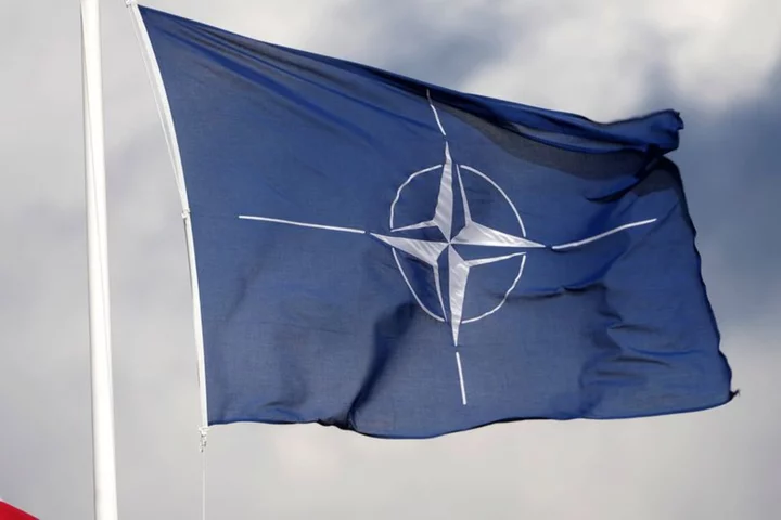 Explainer-What would happen if Ukraine joined NATO?