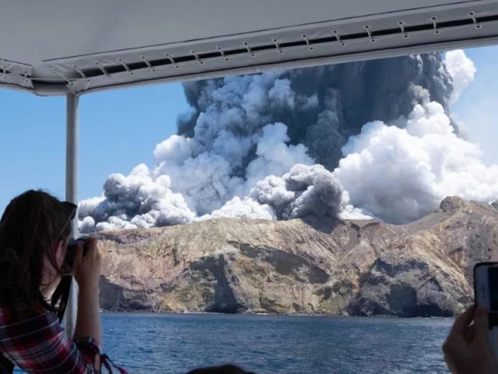 'Like an oven but 1,000 times worse': Tourists describe horror of White Island eruption