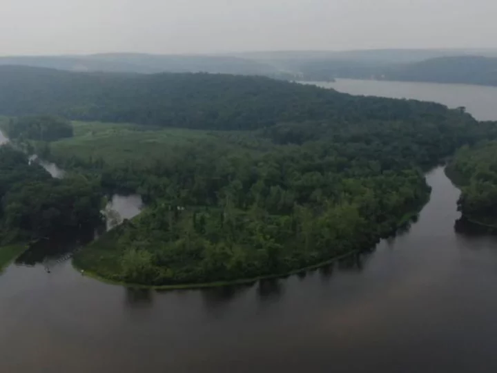 Rabid bobcat attacks sleeping camper during youth trip at a Connecticut state park, officials say