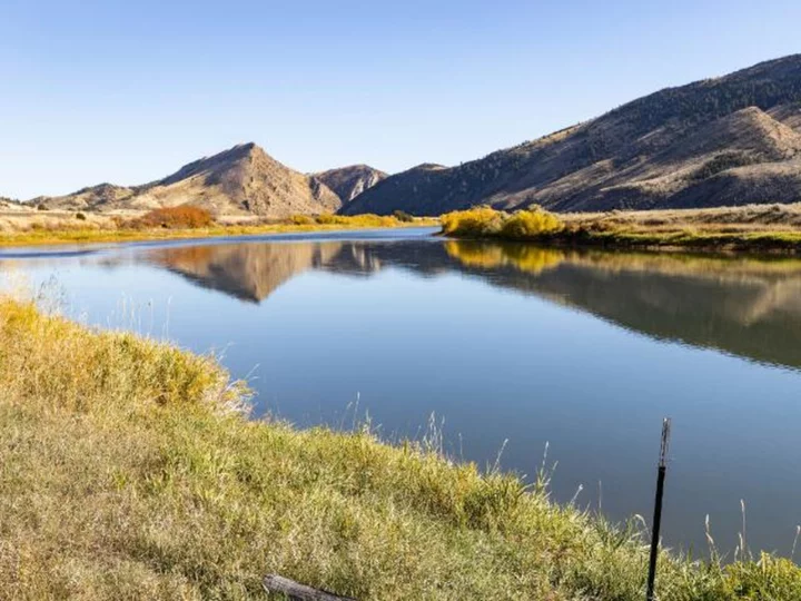 3 women injured in rare otter attack in Montana's Jefferson River