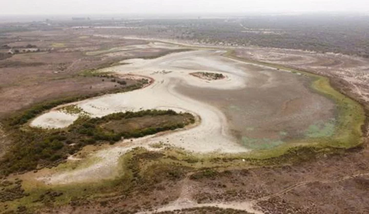 Wetland lagoon in southern Spain dries out amid severe drought