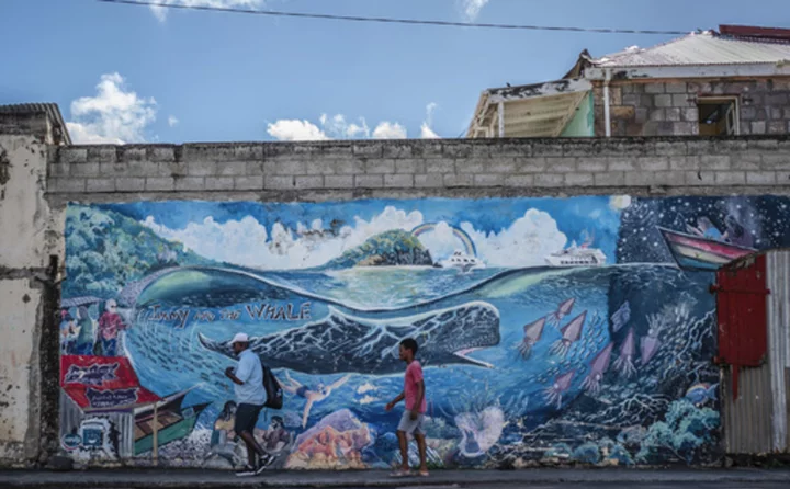 Caribbean island of Dominica creates world's first marine protected area for endangered sperm whale