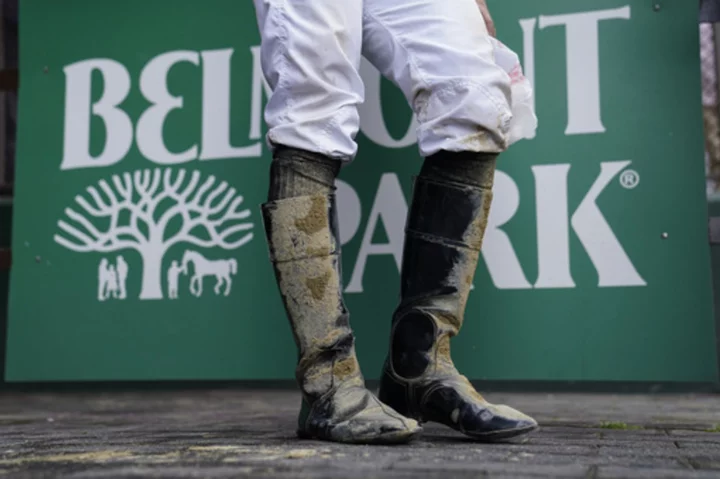 Horse euthanized after 13th at Belmont, 1 race after final leg of Triple Crown