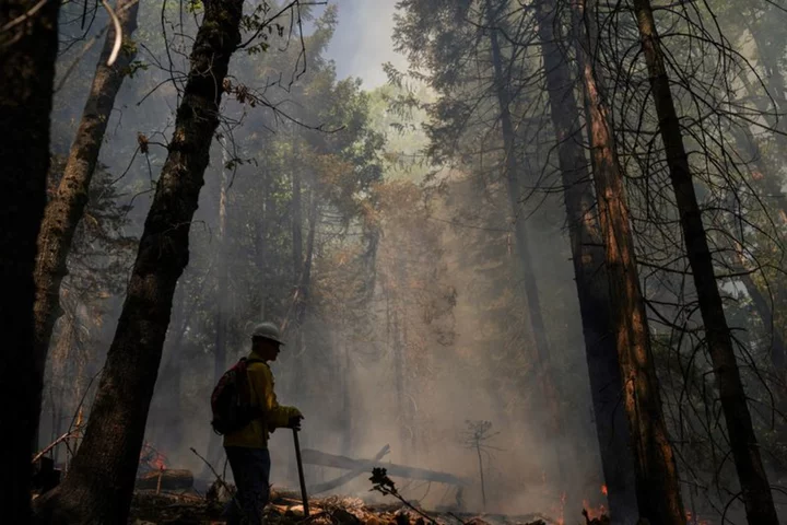 ‘California is meant to burn': Experts teach landowners art of prescribed burns