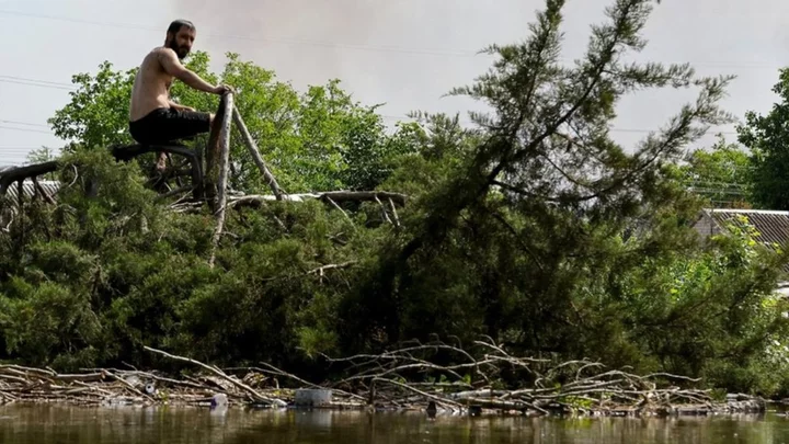 Ukraine dam: Floods devastate tracts of rich farmland