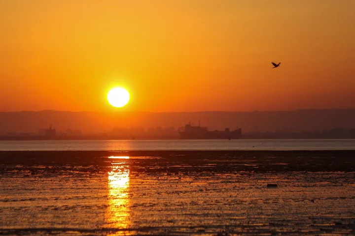 Cargo Ship Runs Aground in Suez Canal, Disrupting Trade Route