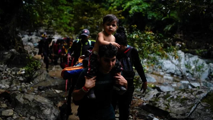 Darién Gap: Record number of migrants risk jungle crossing