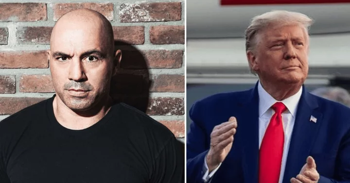 Joe Rogan applauds ex-president Donald Trump's 'effective' leadership: 'Country was thriving'