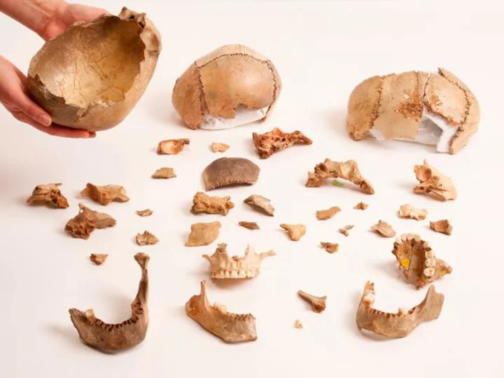 Ancient humans would eat their dead - and not because they had to, study suggests