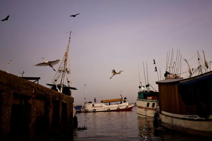 Merchants in Brazil's Amazon trade natural bounty as leaders discuss environment