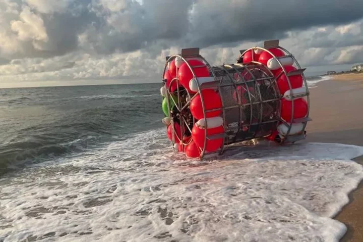 Florida man arrested for trying to cross Atlantic in human-powered hamster wheel